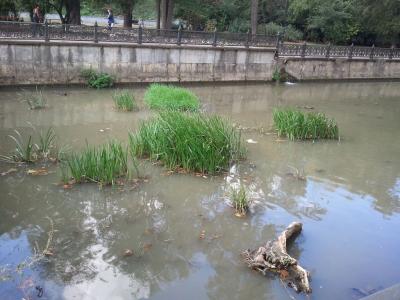 Прикрепленное изображение: 2016-09-22 11.09.20.jpg